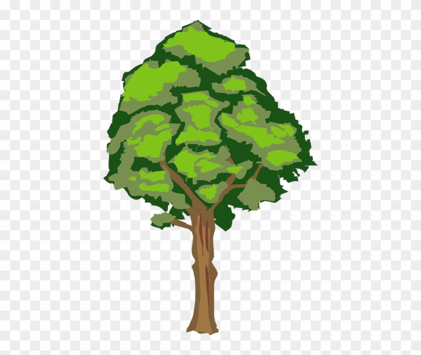 No03木 - Oak #382788