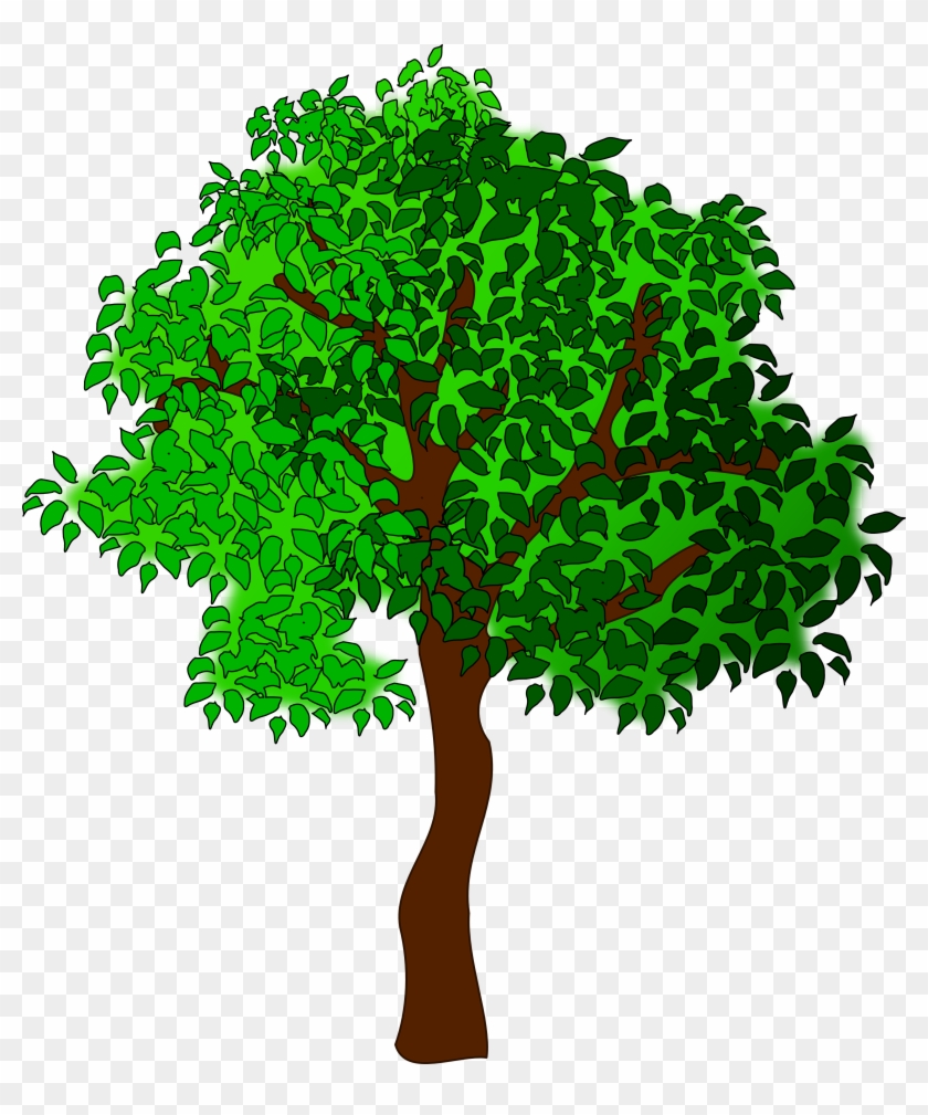 Tree Cartoon Images Gallery - Biotic And Abiotic Factors Card Sort #382797