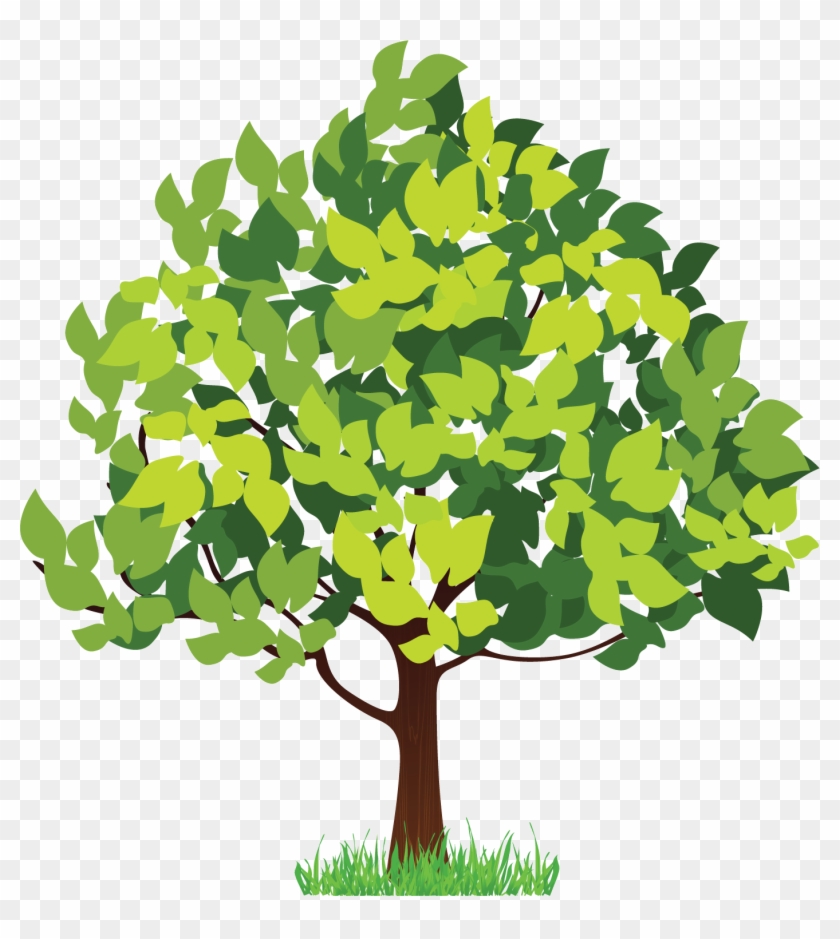 Png形式でダウンロード - Four Season Tree Clipart #382829