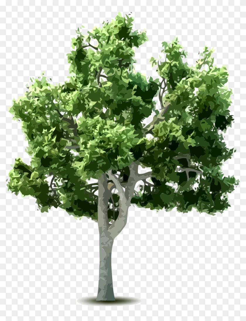Tree Download Clip Art - Tree Download Clip Art #383458
