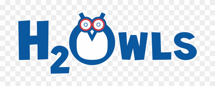 H2owls - Swimming Pool #383139