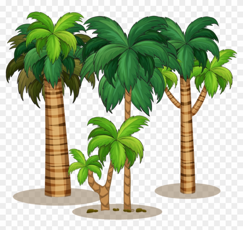 Coconut Milk Tree - Coconut Milk Tree #383507