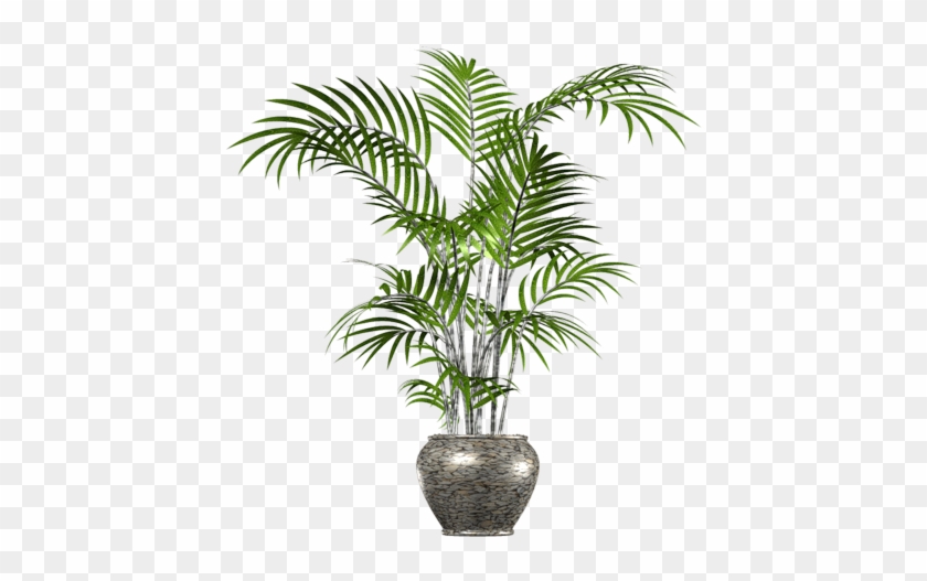 Clip Art Palm Tree, Palm Tree In Pot Png Transparent - Palm Tree In Pot Png #383630