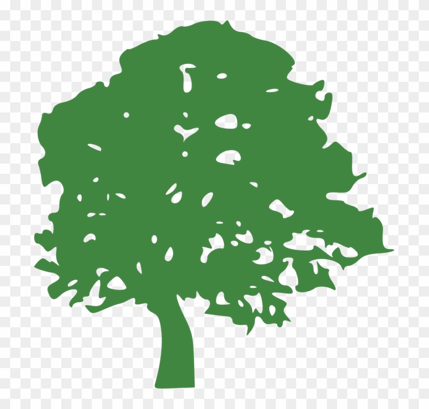 Best & Most Affordable Tree Removal Redlands - Tree Clipart Green #383695