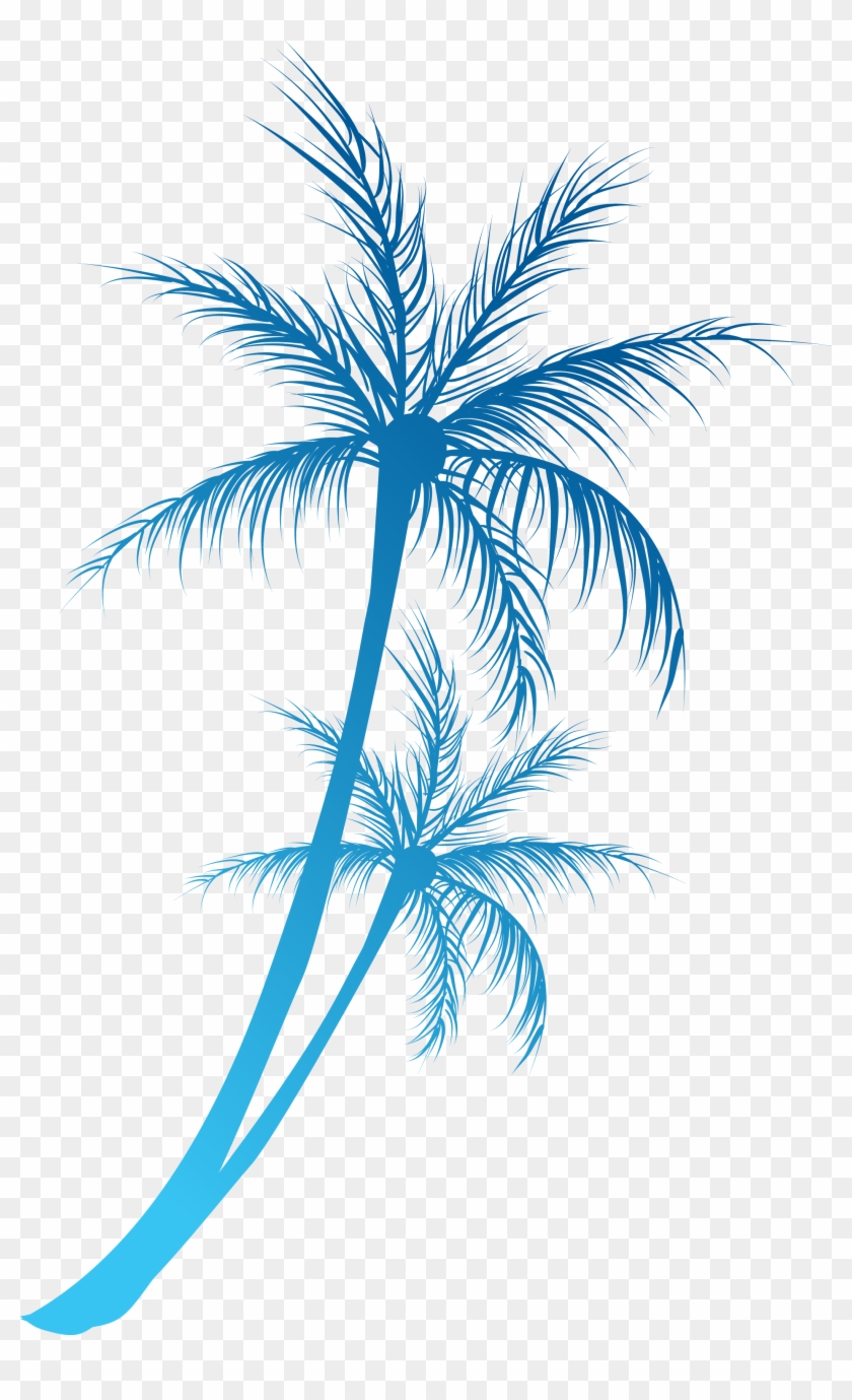 Arecaceae Royalty-free Clip Art - Arecaceae Royalty-free Clip Art #384322