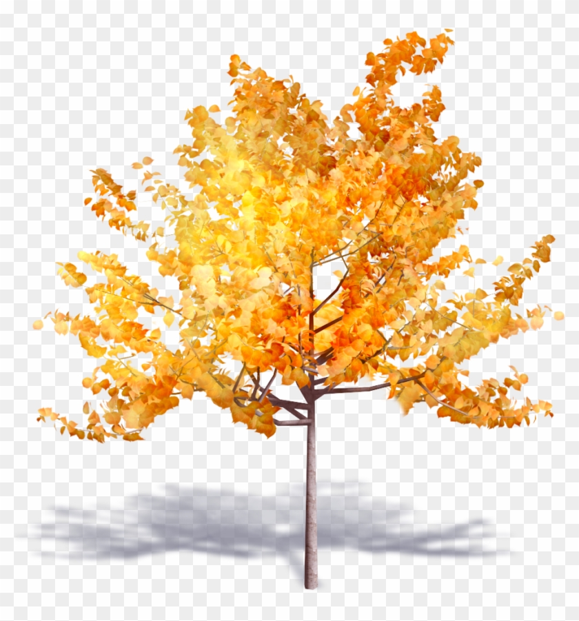 Brand New Autumn Trees Are Available On Polantis Platform - Autumn Tree #384352