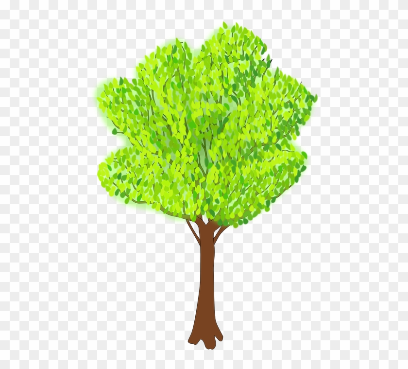 Coconut Tree Animated 11, Buy Clip Art - Clipart Of Tree In Summer #384534