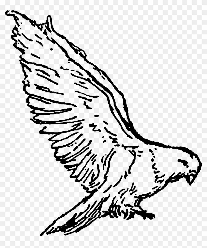 Of Course, Since The Bird Image Is Of A Dove, A Religious - Illustration #384574