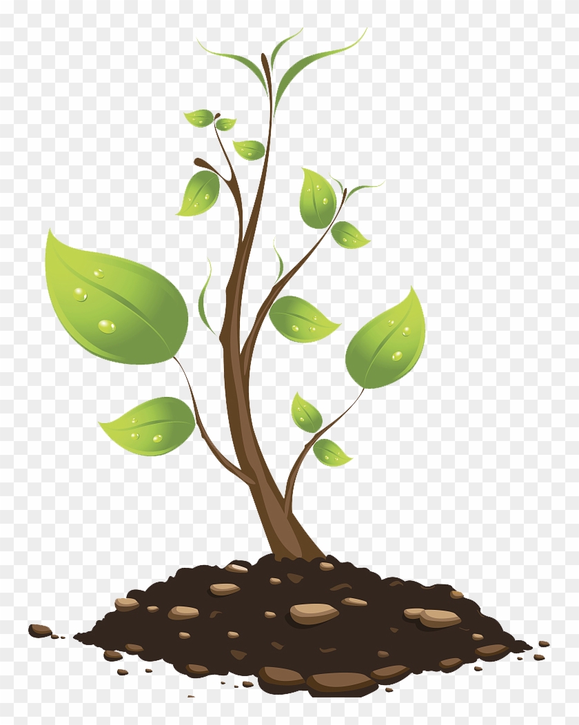 Tree Branch Euclidean Vector Plant - Tree Branch Euclidean Vector Plant #384752
