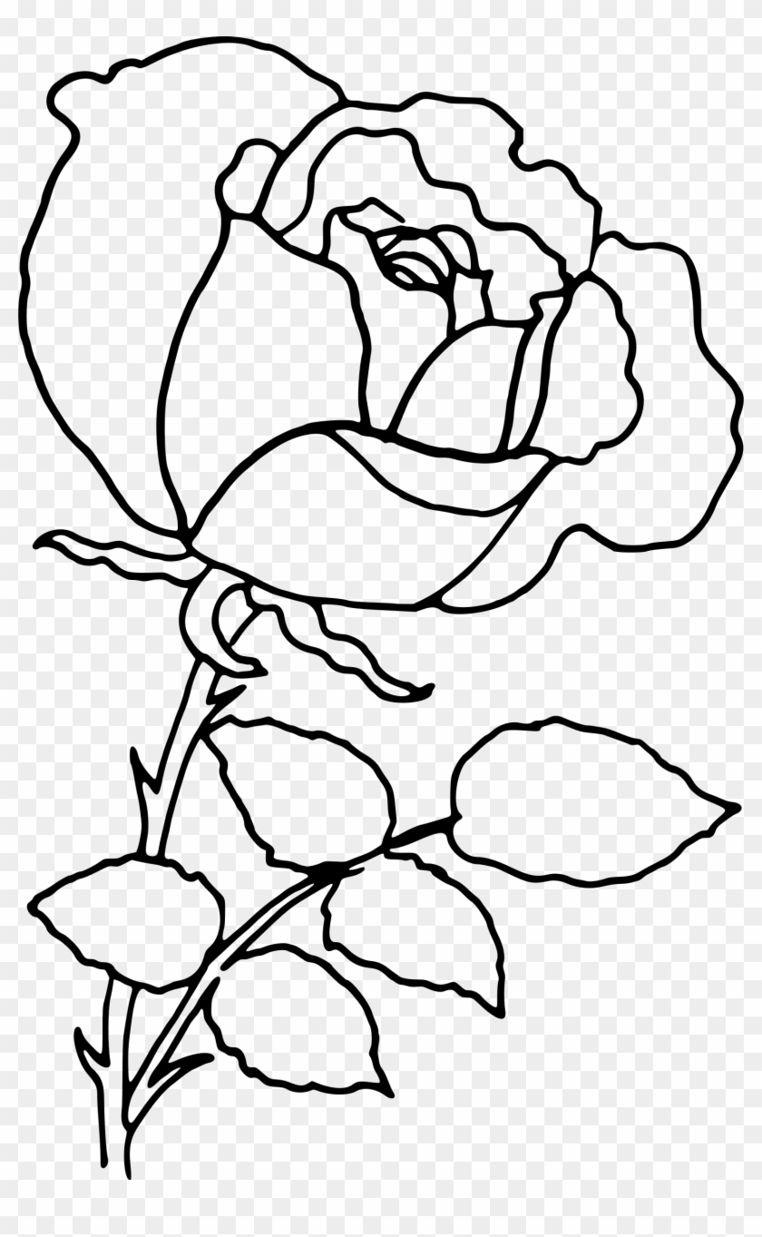 28 Collection Of Rose Drawing Outline Png - Rose Outline Png #384794