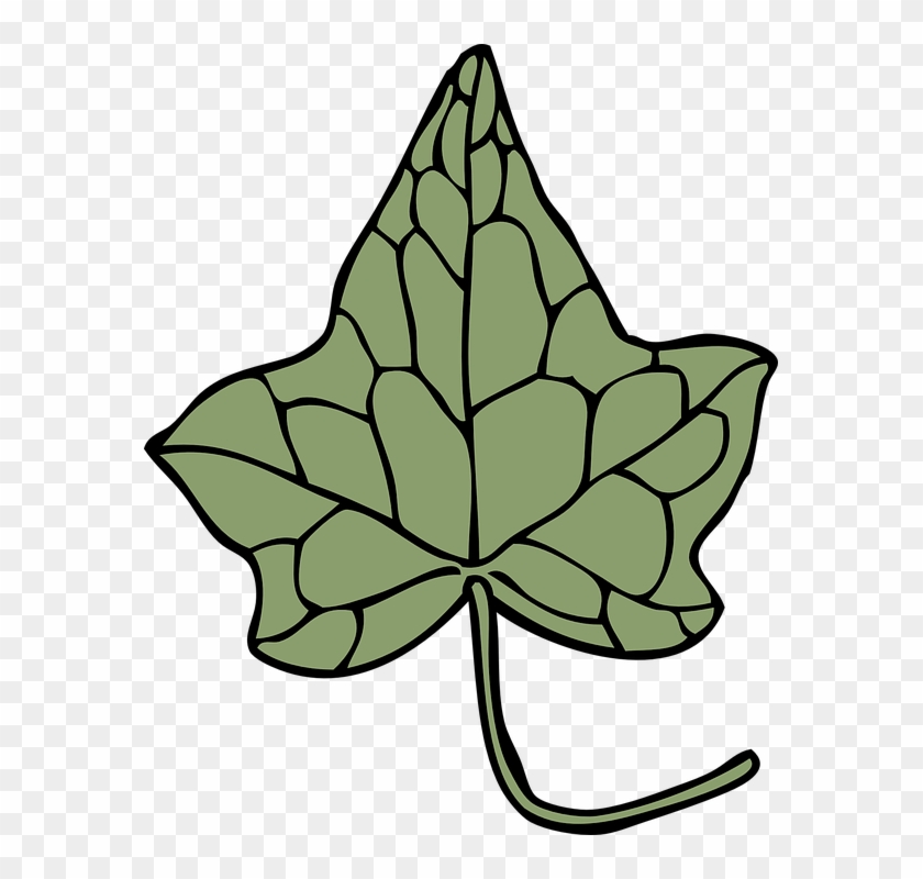 Autumn Leaf Outline 21, - Ivy Leaf Clip Art #384829