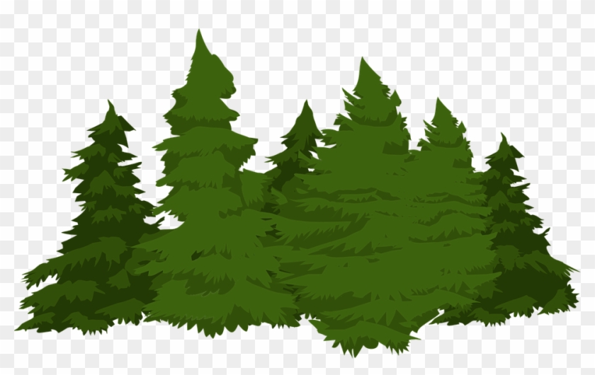 Pine Tree Vector - Gone Huntin Be Back Never Novelty Sign | Indoor/outdoor #385402