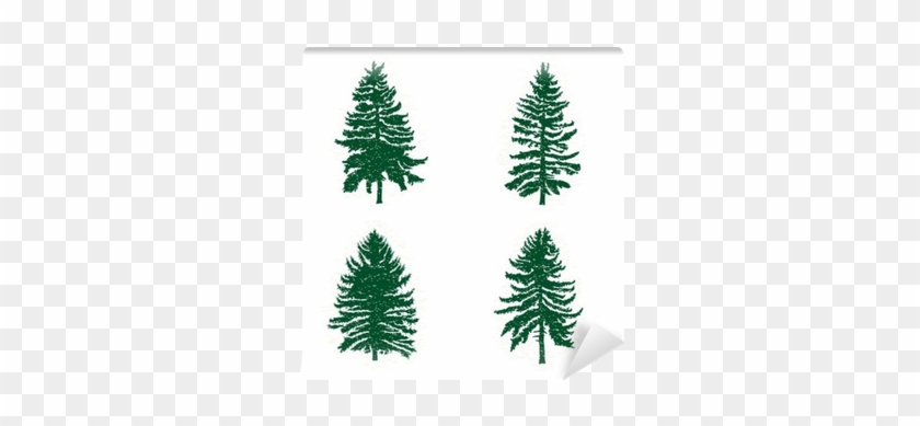 Set Of Different Silhouettes Of Green Pine Trees, Vector - Çam Ağacı Vektör #385405
