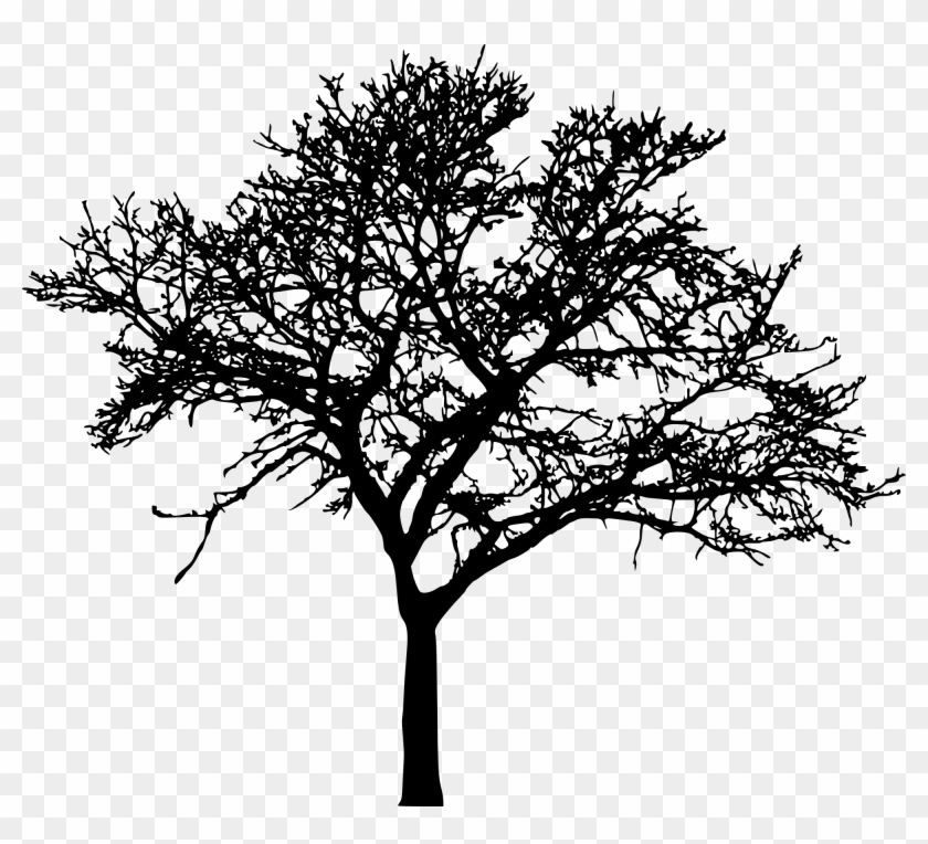45 Tree Silhouettes Png Transparent Background - Tree Silhouette Png #385628