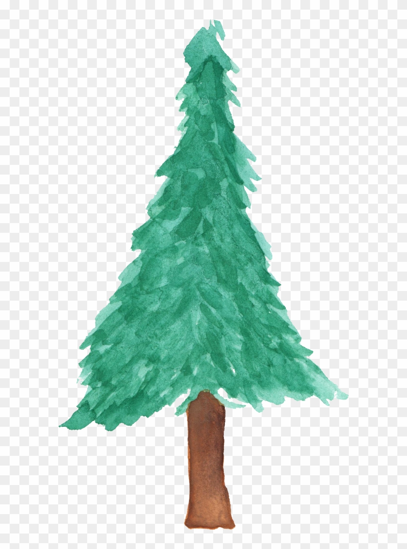 Free Download - Pine Tree Watercolor Transparent #385674