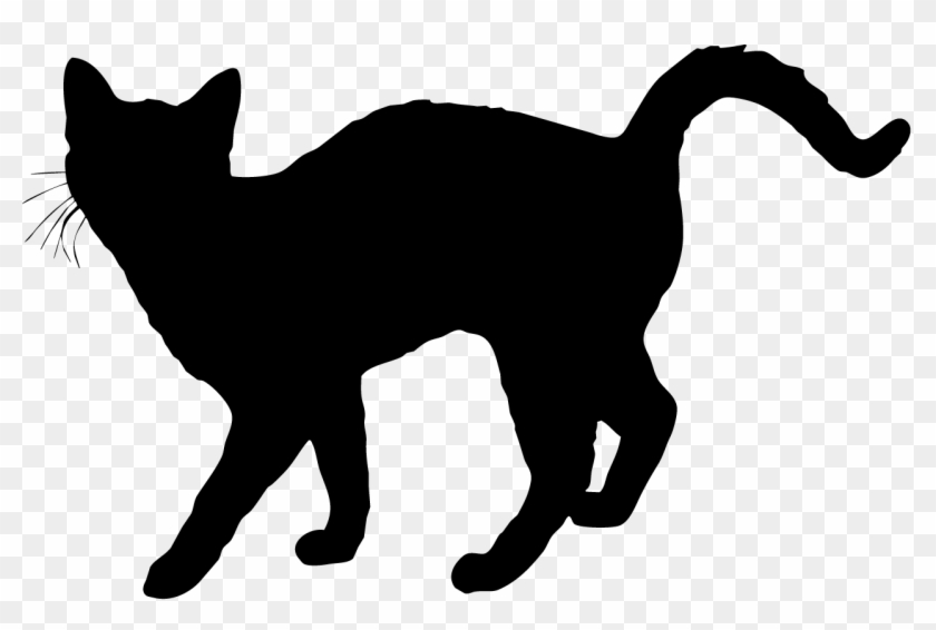 Silhouette Chat - Recherche Google - Meowy Pillow 18x18x4, White, Throw Pillows,100% Polyester, #385857