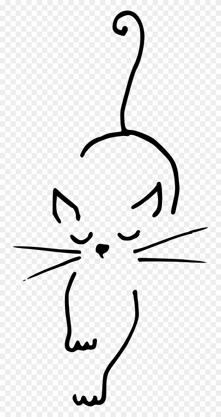 Paws Cat Shelter, Inc - Cat #61661