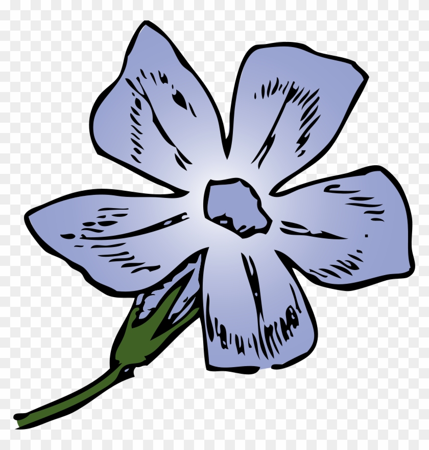 Periwinkle Clip Art #62705