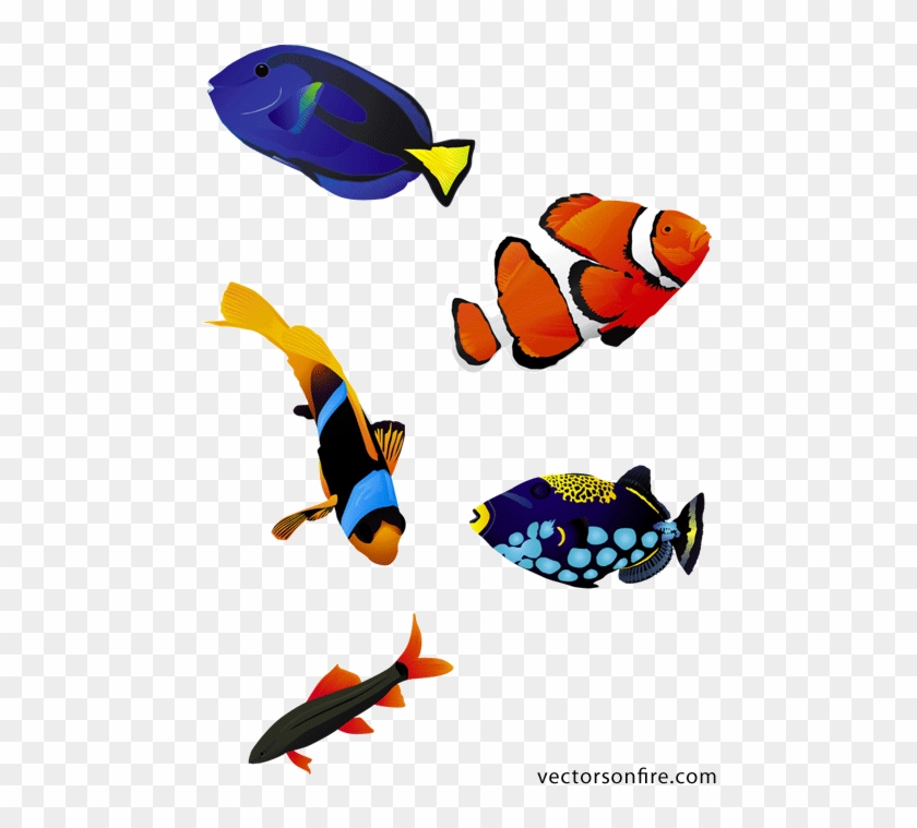 Ryby Akwariowe Kolorowy - 熱帯魚 イラスト フリー 素材 #63275