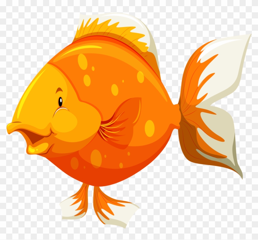 Яндекс - Фотки - Parts Of Fish #63363