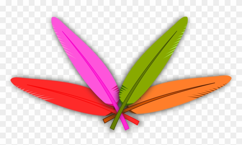 Clipart - - Turkey Feathers Clipart #64096
