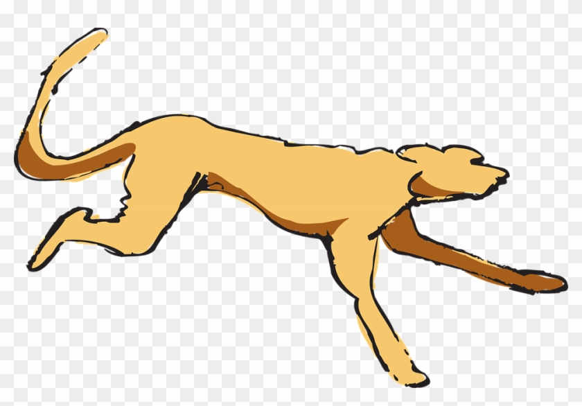 Running, Art, Pet, Animal, Fur - Dog Running Png Gif #64150