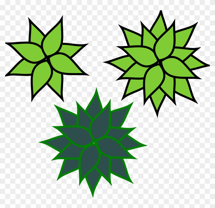 Agave Clip Art #66235