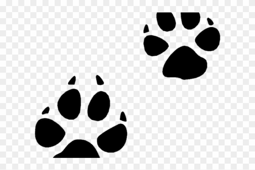 Bobcat Track Cliparts - Hound Of The Baskervilles Summary #66868