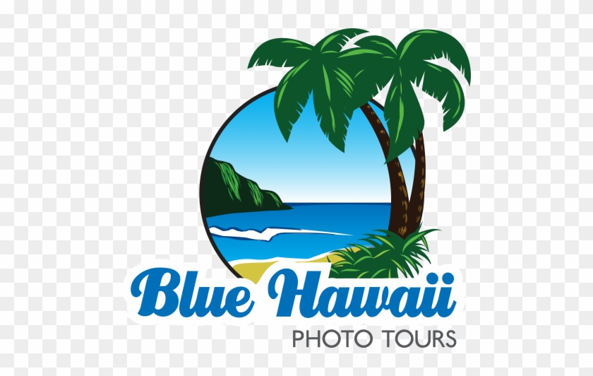 Blue Hawaii Photo Tours - 3drose I Believe In Mullets - Mouse Pad, 8 By 8 Inches #386504