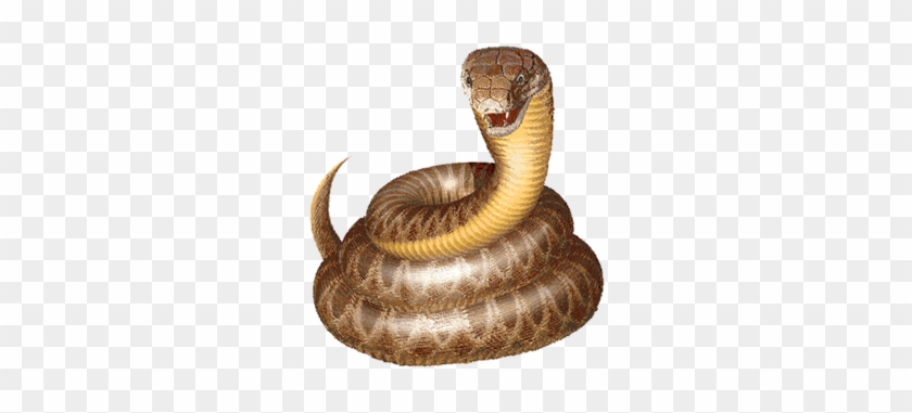 Snake-clipart - Snake Clip Art #386606