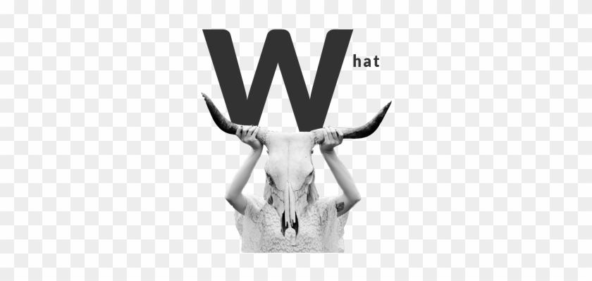 Hawhat1 - Digital Agency #386671