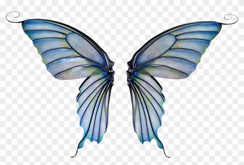 Fantasy Fairy Wings - Fairy Wings For Photoshop #387152