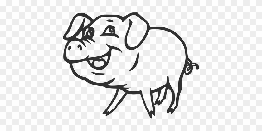 Farm Pig Smiling Animal Tail Pork Curly Sm - Pig Black And White #388354