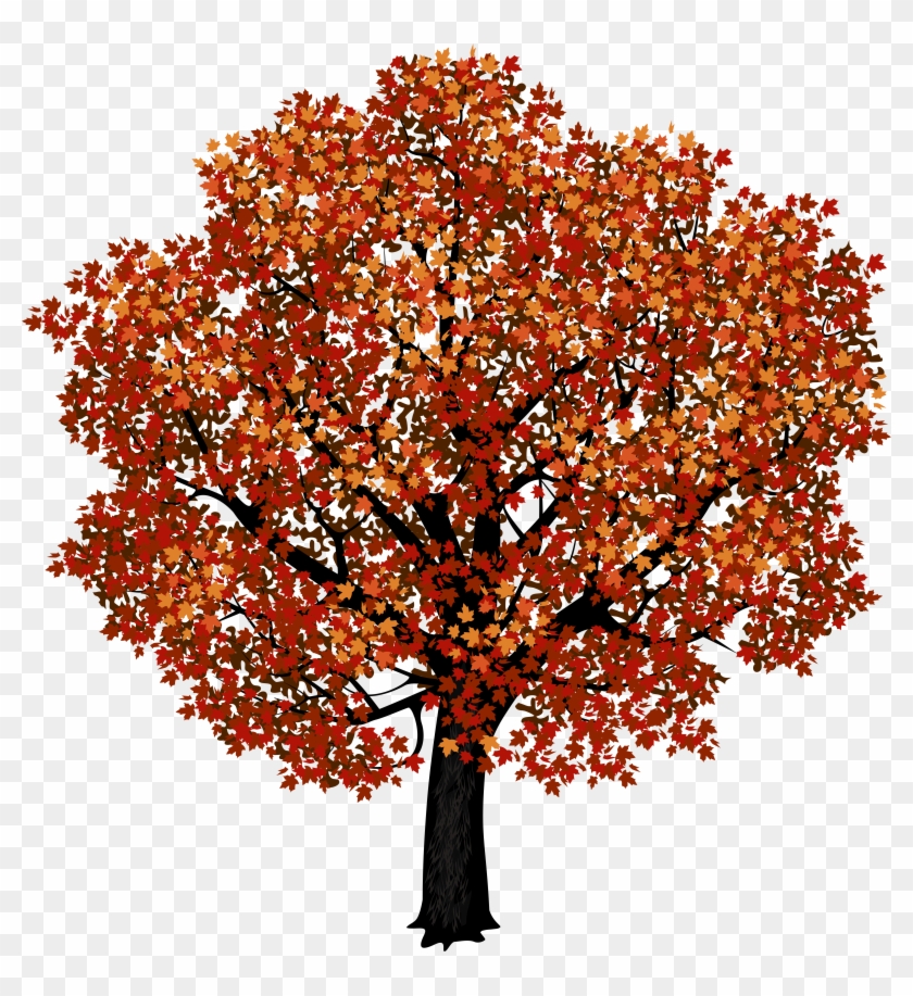 Red Maple Tree Png Clipart Picture - Autumn Maple Tree Png #388918