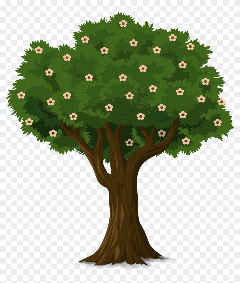 Tree - Tree #388936