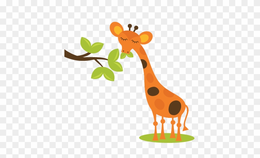 Giraffe Eating Leaves Clipart - سكرابز حيوانات كرتونية #389507