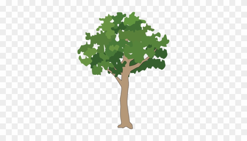 Drawn Tree Rainforest - Rainforest Tree Vector Png #390016