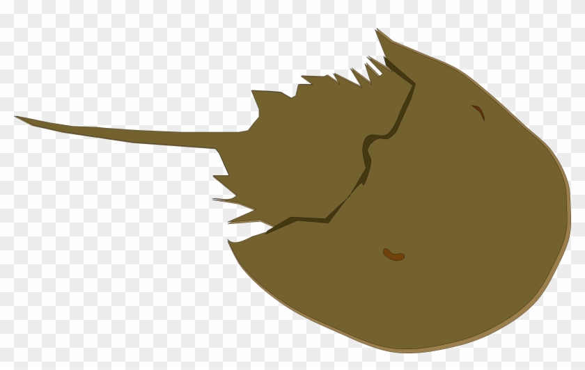 Clipart Horseshoe Crab - Horseshoe Crab Clipart #390095