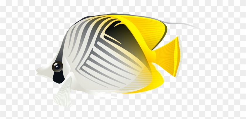 Aquarium Fish Png Clip Art - Aquarium Fish Png #390431