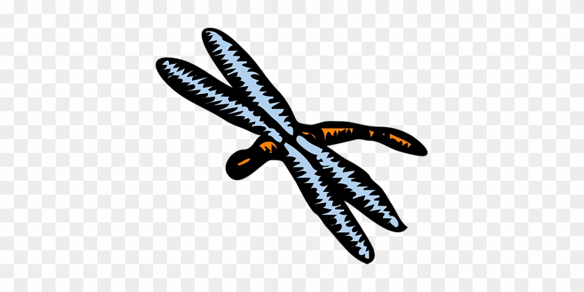 Dragonfly, Insect, Wing, Wildlife, Fauna - Set Of 4 Dragonfly 1 25 Magnets Dragonflies Good Luck #390756