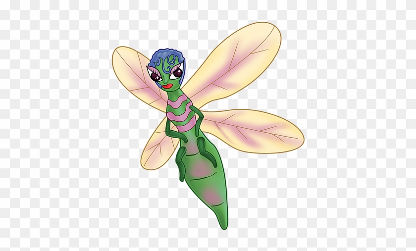 The Fun Starts Soon - Net-winged Insects #390769