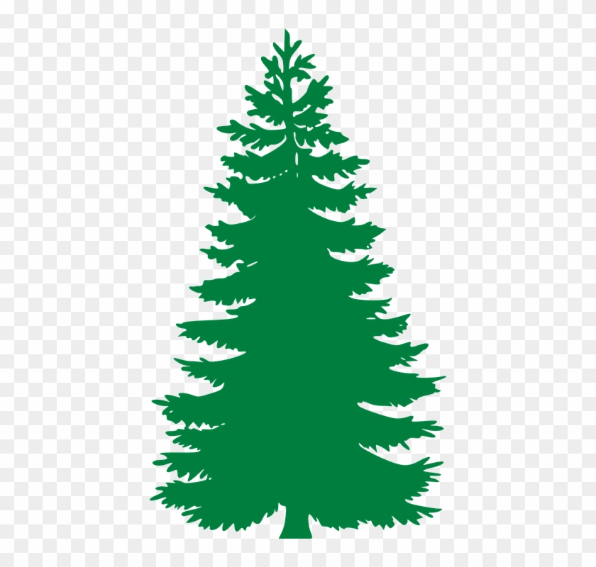 Free Vector Graphic - Pine Tree Silhouette #390928