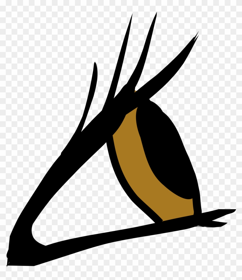 Open - Eye Clipart From Side #390996