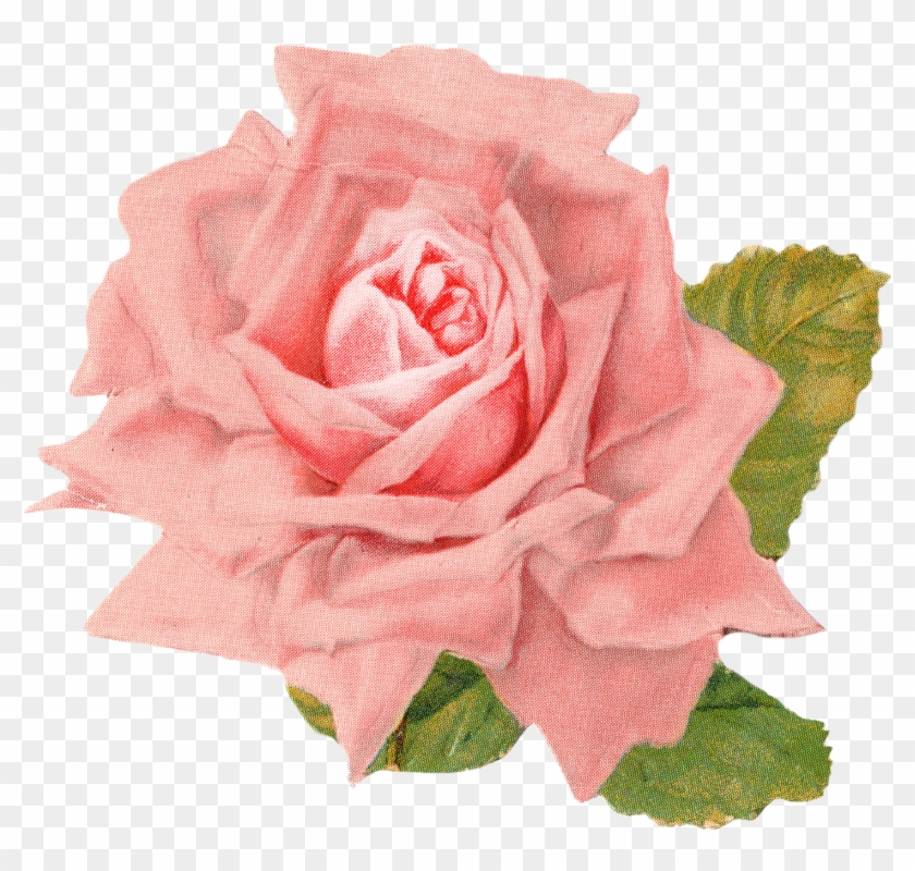 Beautiful Vintage Rose Clip Art - Old Postcard Necklace Paris And Rose Vintage Postcard #391206