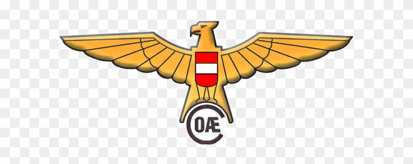 Model Aircraft School With Peter Kircher - Öaec #391557