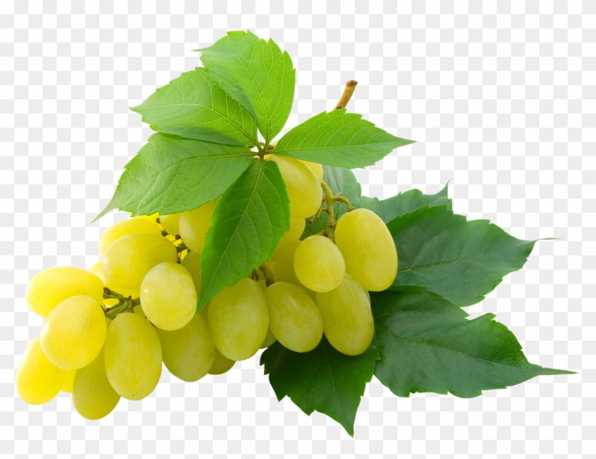 Grape - Green Grapes Png #391667
