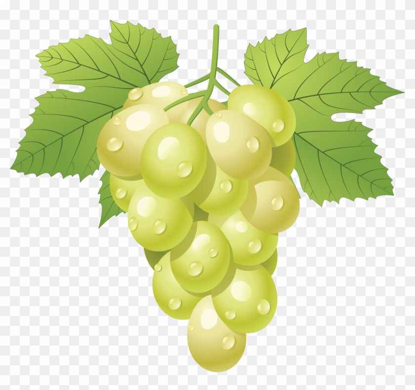 Grapes Clipart Png #391729