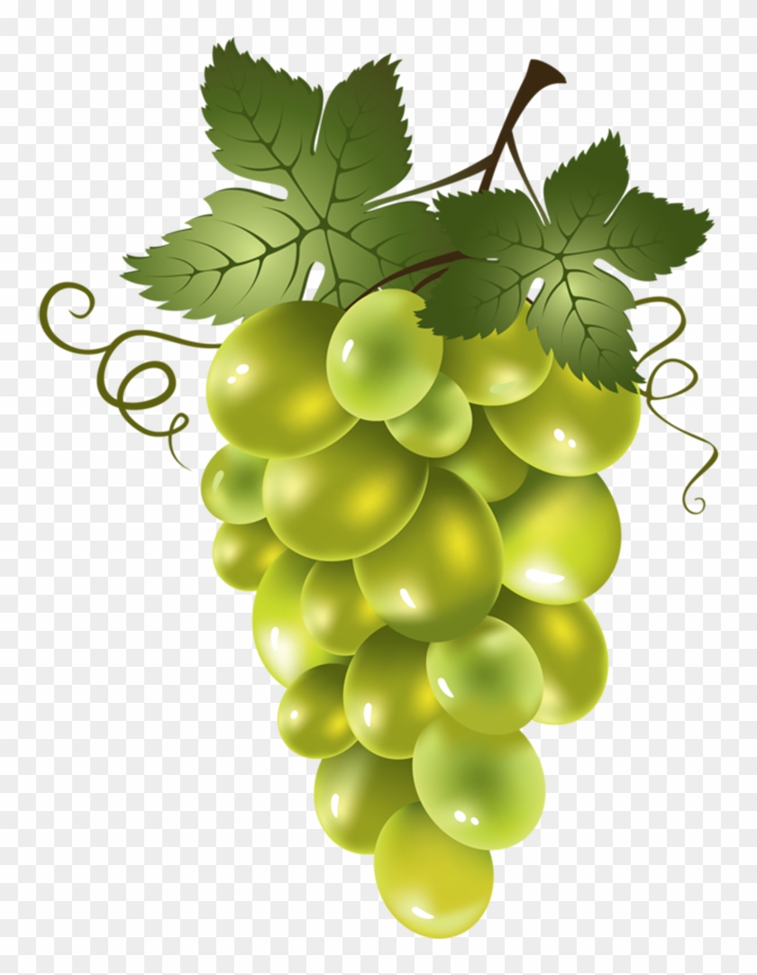 Winogrony Clipart - Winogron Clipart #391775