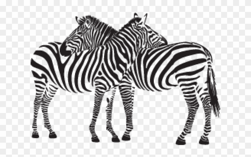 Zebra Clipart Two - Stickalz Llc Zebras Vinyl Wall Art Decal Sticker #392245