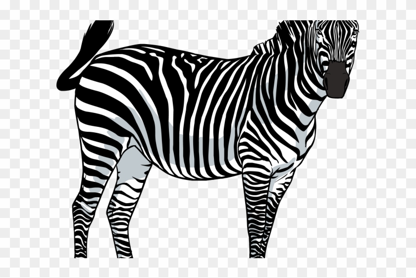 Zebra Clipart Mammal - Rcgrafix Premium Leather Back Direct Uv Vibrant Print #392261